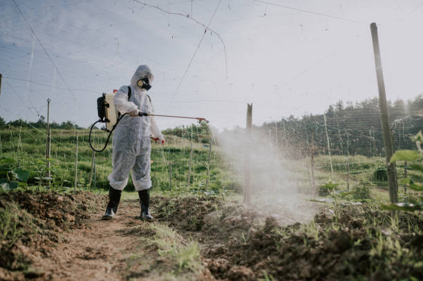 Best Commercial Pest Control Services  in Minot, ND