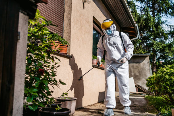 Best Flea Control Services  in Minot, ND