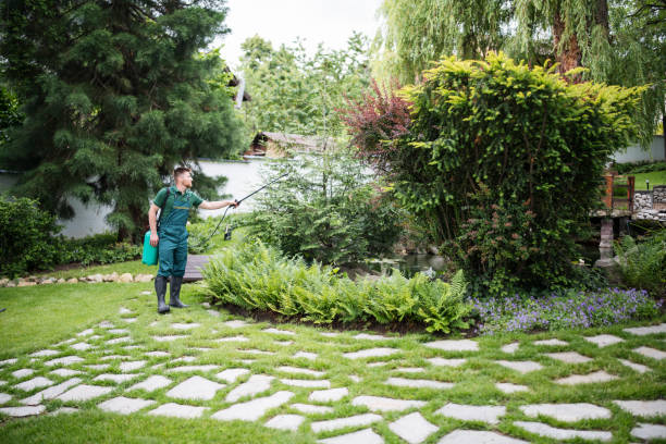 Best Wasp Removal Services  in Minot, ND