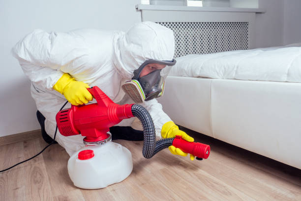 Best Pest Removal Services  in Minot, ND