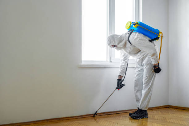 Best Mosquito Control Services  in Minot, ND