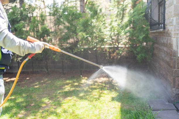 Best Termite Control Services  in Minot, ND