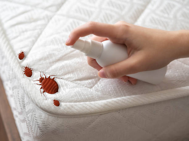 Best Pest Control for Homes  in Minot, ND