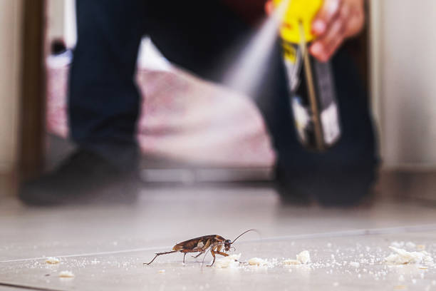 Best Commercial Pest Control Services  in Minot, ND