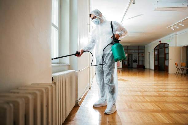 Best Wasp Removal Services  in Minot, ND
