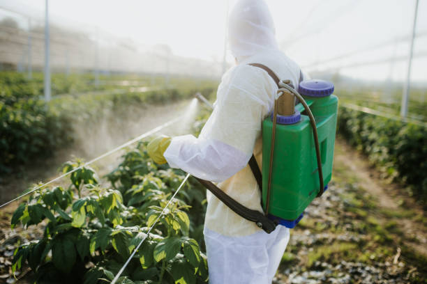 Best Best Pest Control Companies  in Minot, ND